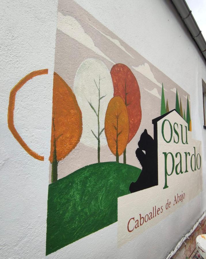 Casa Osu Pardo Vut Villa Caboalles de Abajo Екстериор снимка